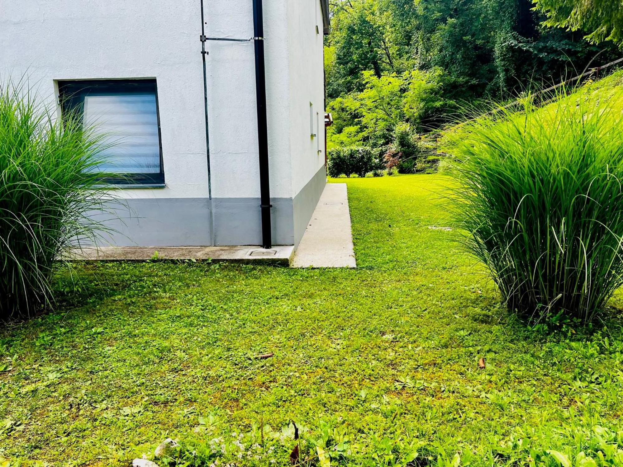 Relax In Nature Apartment بوويتش المظهر الخارجي الصورة